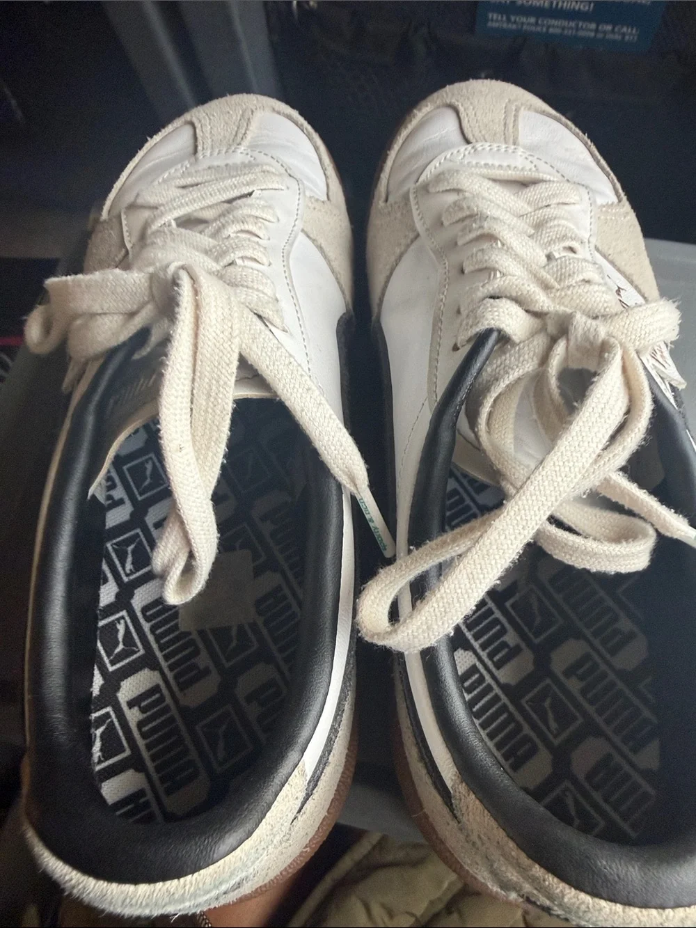Puma Palermo Sneakers in Cream, Black and Gum